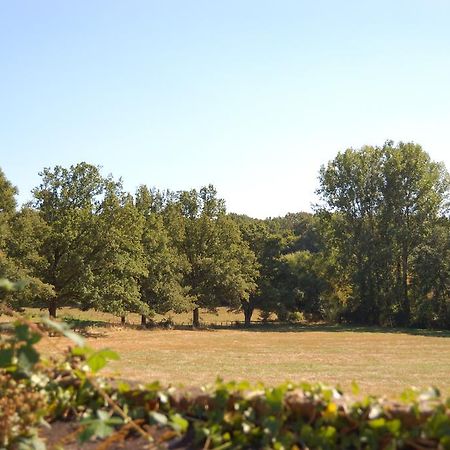 Gite Du Vieux Charme Villa Saint-Amand-en-Puisaye Exteriör bild