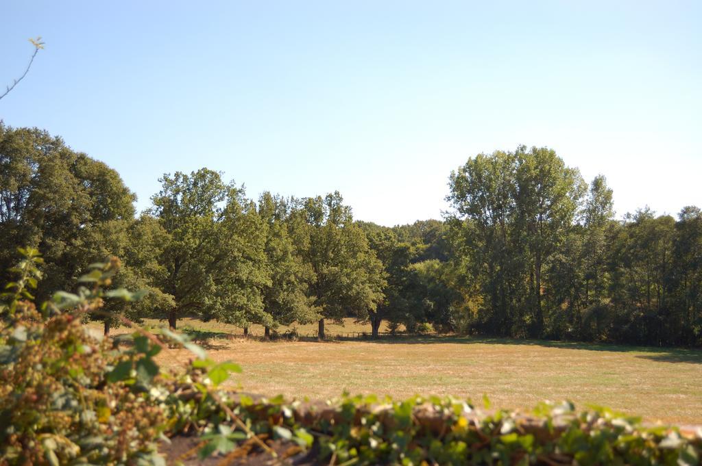 Gite Du Vieux Charme Villa Saint-Amand-en-Puisaye Exteriör bild